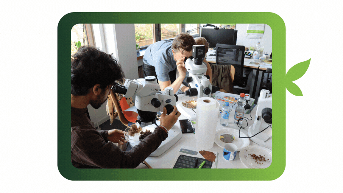 This is our favourite part!