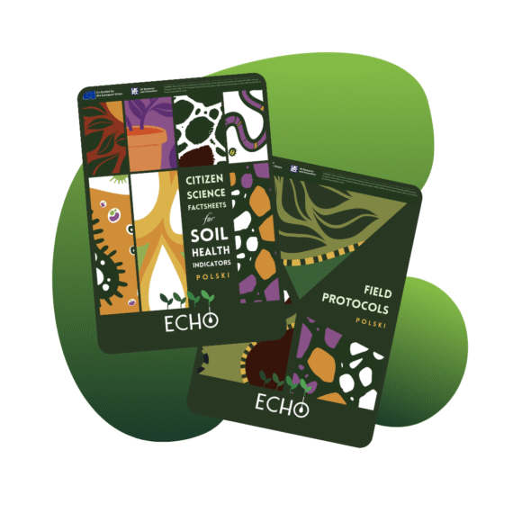 Need a good summer read?